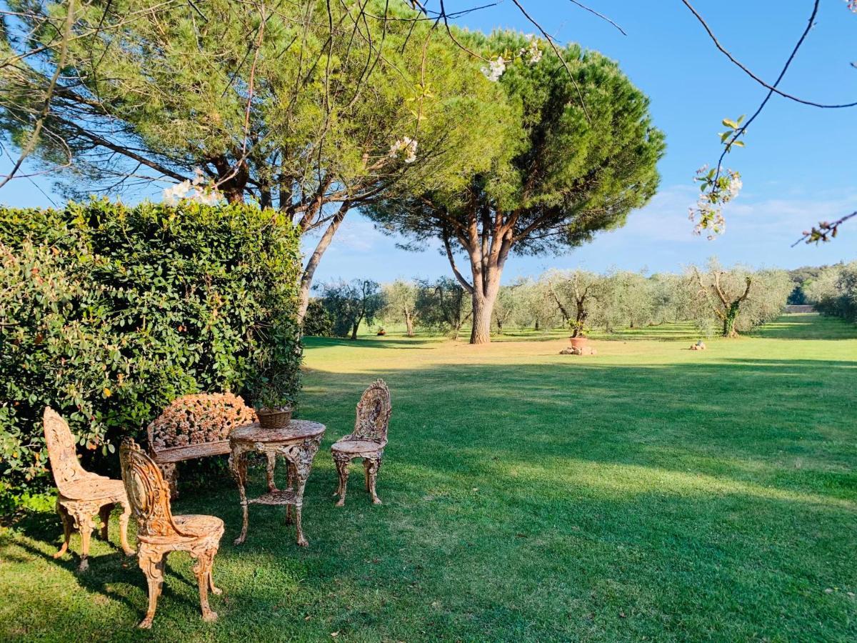 Ansedónia B&B Valle D'Oro מראה חיצוני תמונה