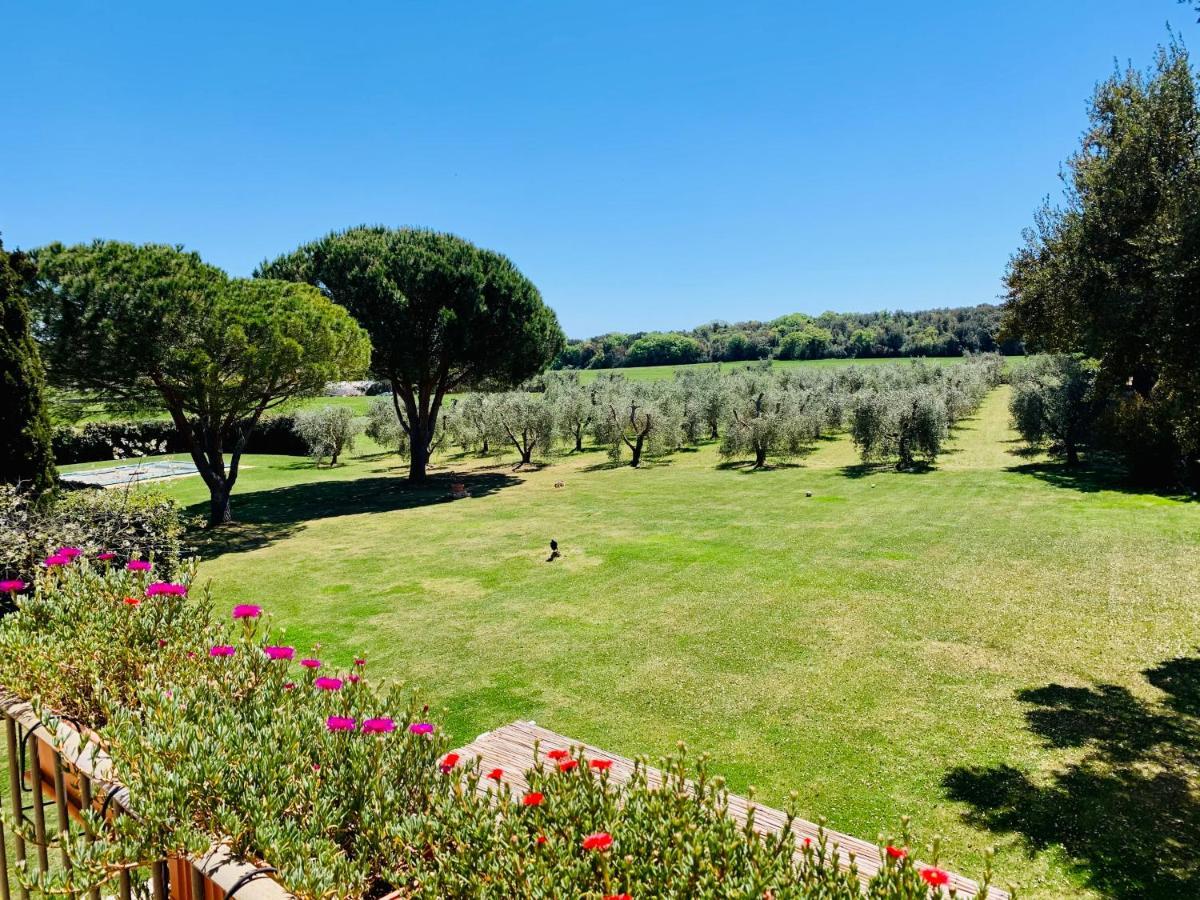 Ansedónia B&B Valle D'Oro מראה חיצוני תמונה