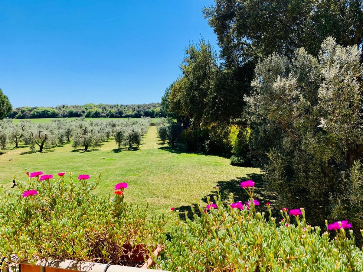 Ansedónia B&B Valle D'Oro מראה חיצוני תמונה