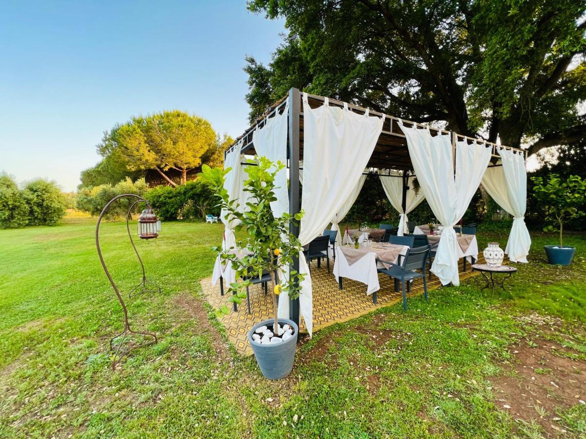 Ansedónia B&B Valle D'Oro מראה חיצוני תמונה
