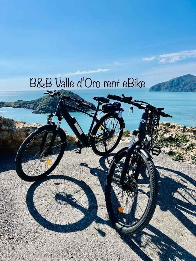 Ansedónia B&B Valle D'Oro מראה חיצוני תמונה