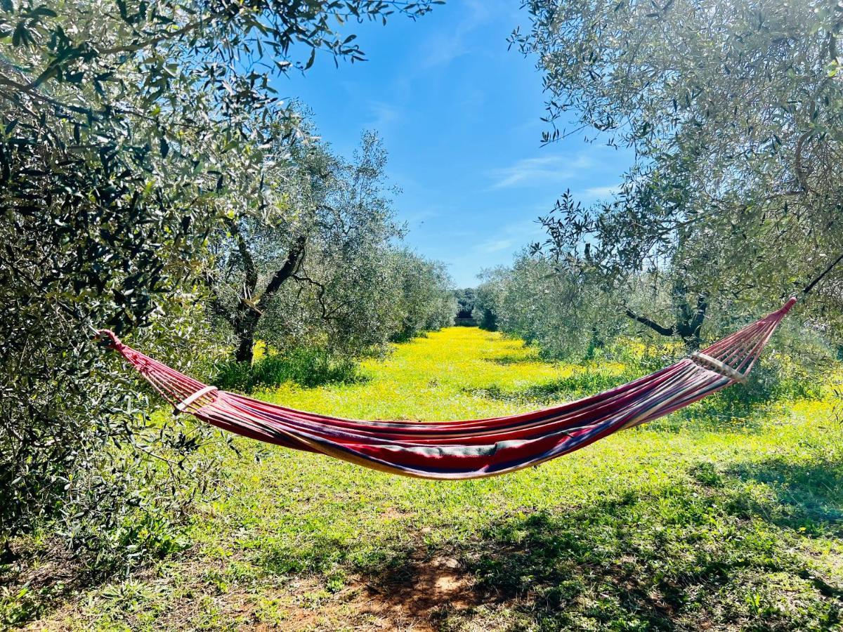 Ansedónia B&B Valle D'Oro מראה חיצוני תמונה
