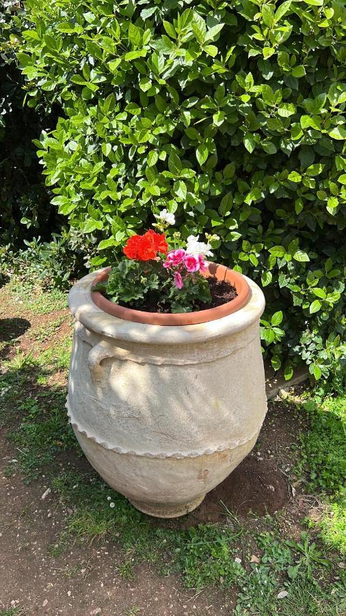 Ansedónia B&B Valle D'Oro מראה חיצוני תמונה