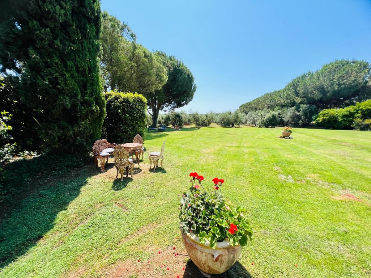 Ansedónia B&B Valle D'Oro מראה חיצוני תמונה